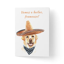 Încarcă imaginea în vizualizatorul Galerie, Felicitare labrador cu sombrero
