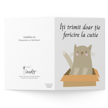 Încarcă imaginea în vizualizatorul Galerie, Trimite felicitare pisic în cutie
